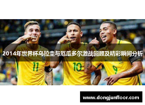2014年世界杯乌拉圭与厄瓜多尔激战回顾及精彩瞬间分析