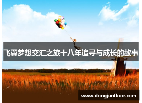 飞翼梦想交汇之旅十八年追寻与成长的故事