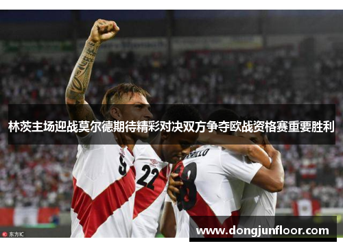 林茨主场迎战莫尔德期待精彩对决双方争夺欧战资格赛重要胜利