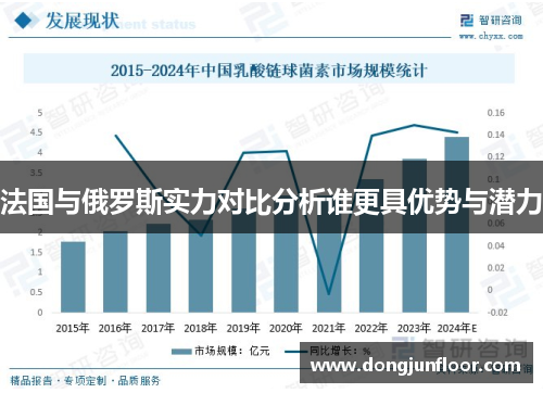 法国与俄罗斯实力对比分析谁更具优势与潜力
